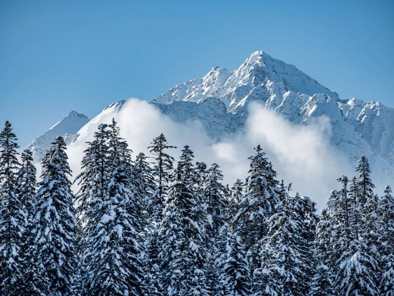 Ferienwohnung mit Hund in Flims, Salums für max. 4 Personen Ferienwohnung mit Hund in Flims, Salums für max. 4 Personen