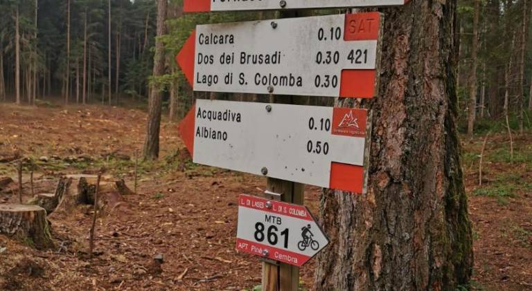 foto37