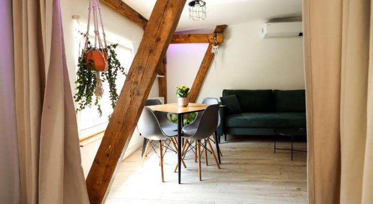 Nice holiday apartment | Dogs allowed — photo 5