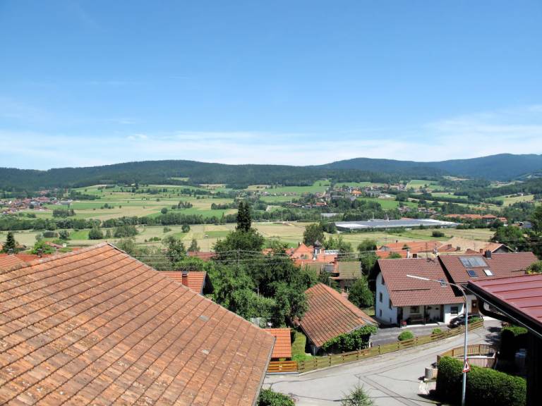foto1