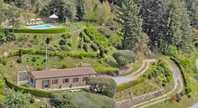 Beautiful villa with pool | Pet-friendly in Cortona