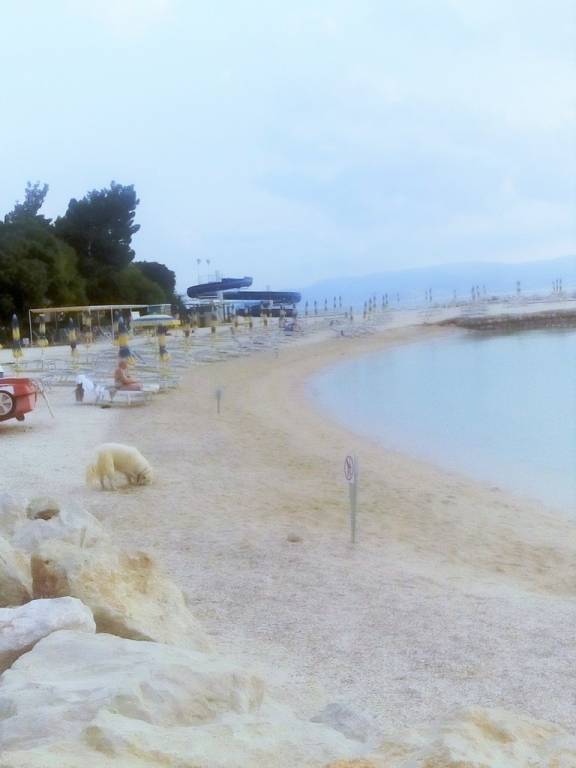 foto9