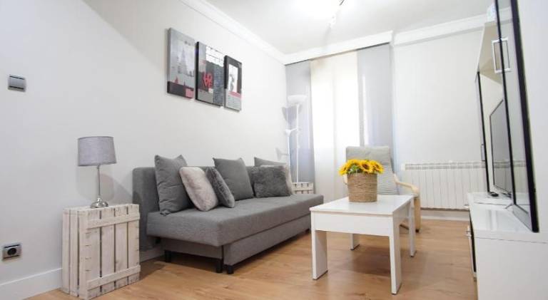 Pleasant apartment | Near Mercado de la Ribera | Pets allowed in Bilbao