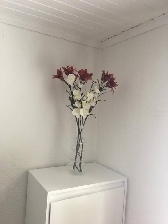 foto26
