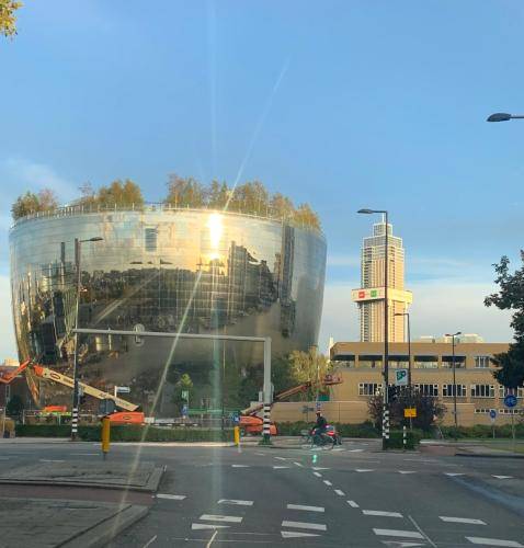 foto3
