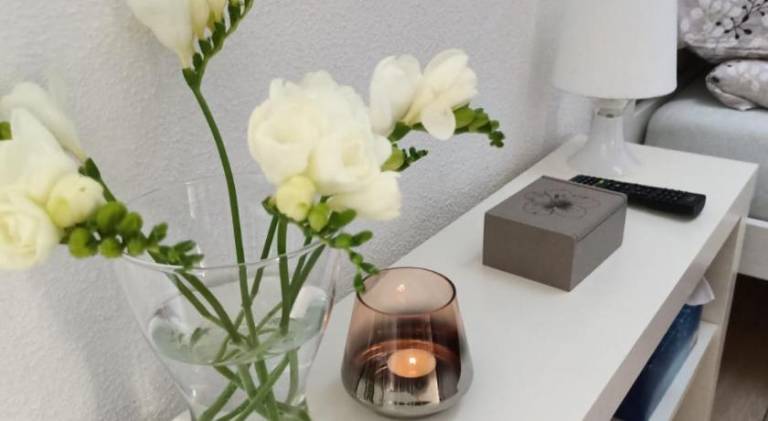 Apartament Racibórz