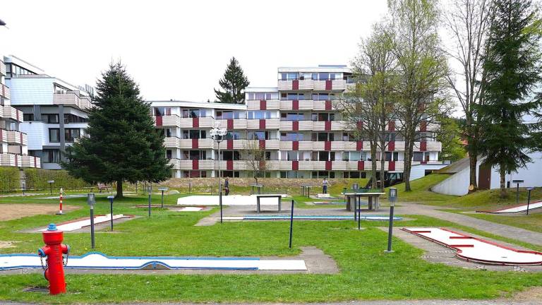 foto19