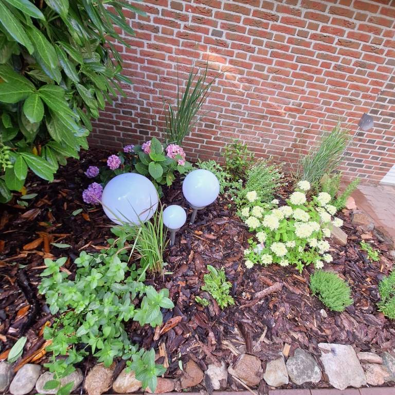 foto33