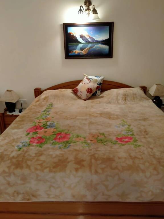 foto41