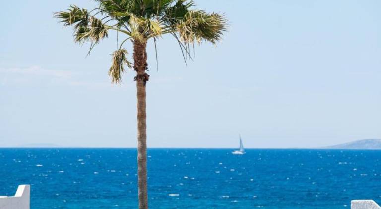 The Aeolos Beach Hotel — photo 4