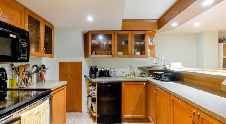 Large Guest suite with bathroom, vegetarian kitchen — photo 4