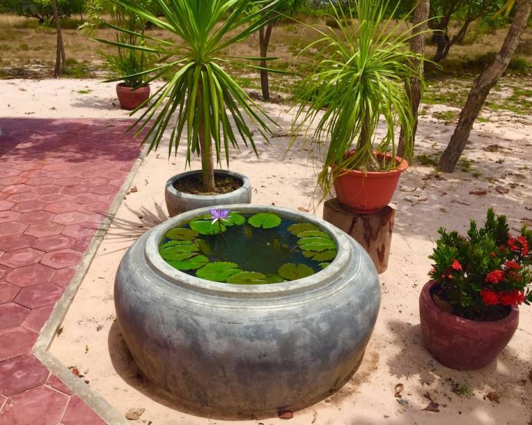 Lodge Prasat Sambour