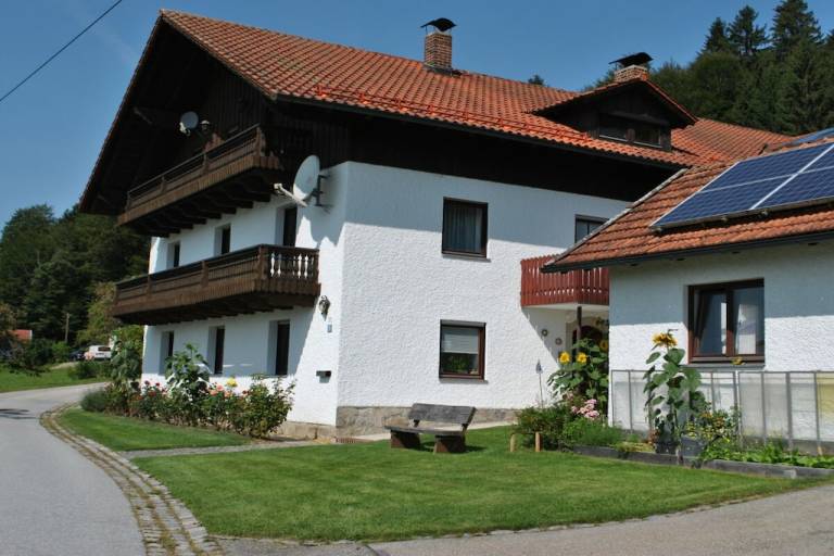 foto1