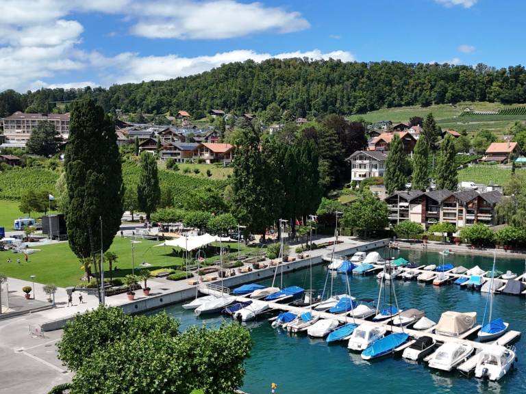 Ferienwohnung  Spiez