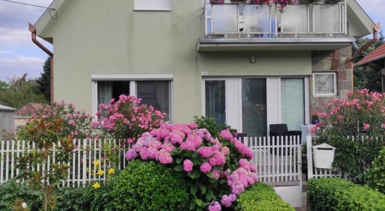 House | Suitable for remote work in Zalakaros