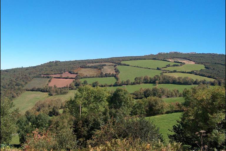foto32