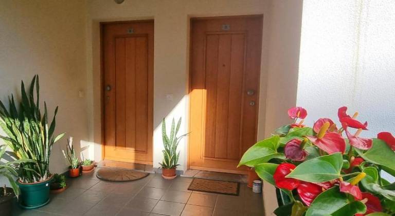 Funchal Cozy Private Room, Ensuite Bathroom, WiFi and Great Location — photo 5