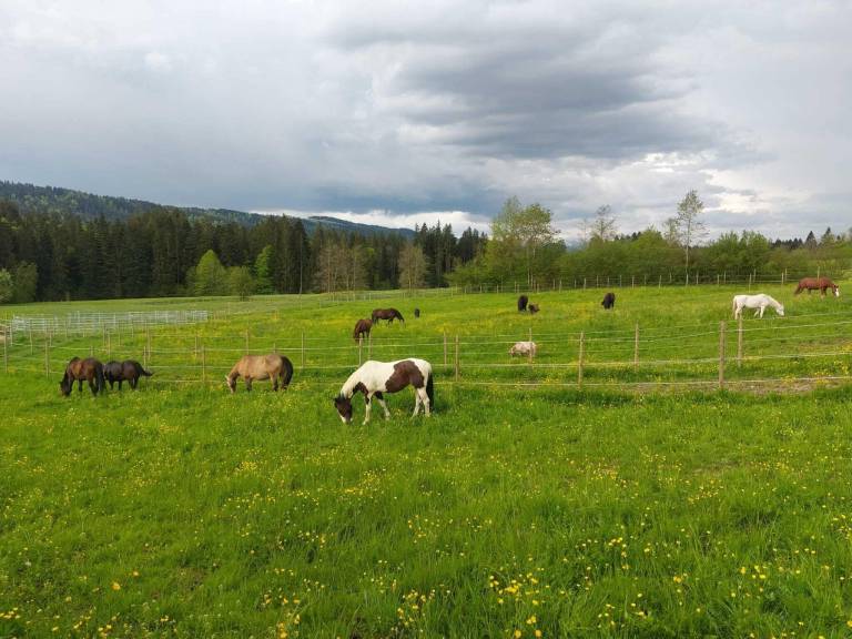 Ferienwohnung Weiler-Simmerberg