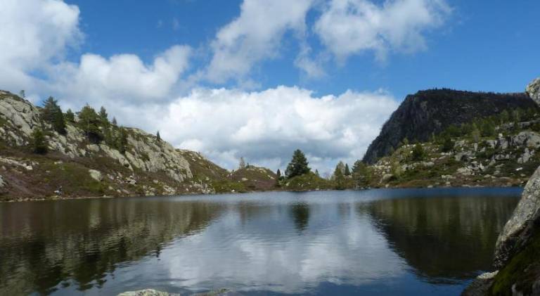 Refuge des etangs de Bassies — photo 4