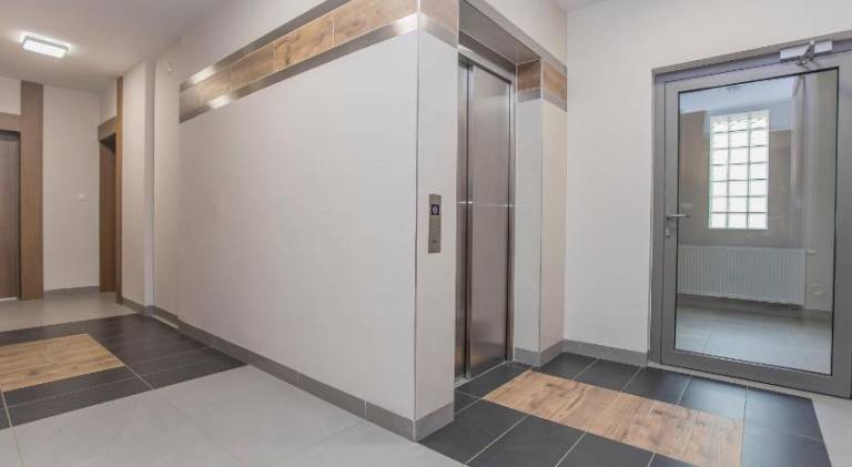 Wonderful apartment | Pets are welcome — photo 4