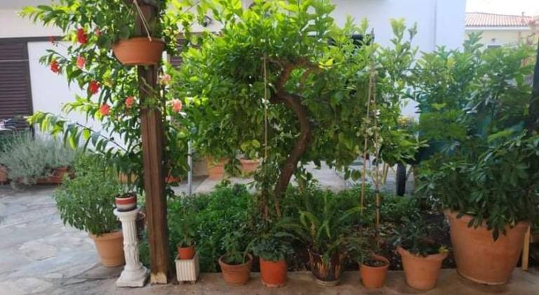 foto41