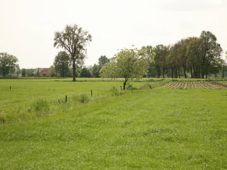 foto38