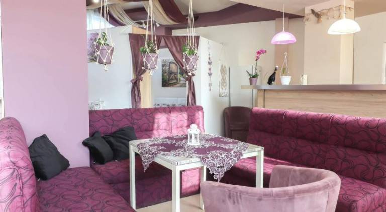 Holiday apartment | Pets allowed — photo 4
