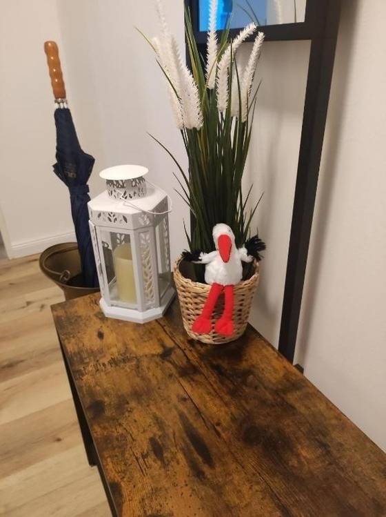 foto16