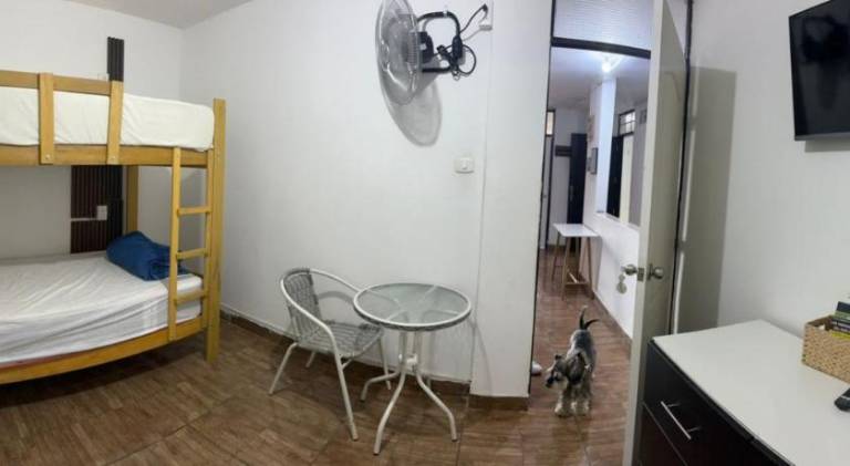 foto13