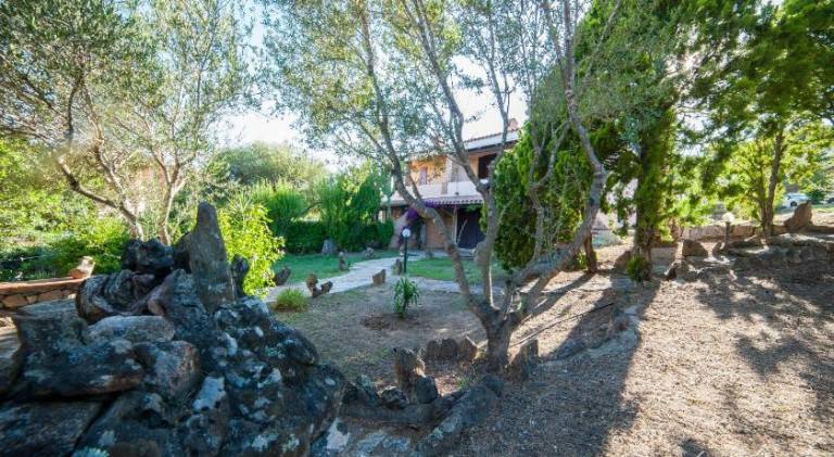 Beautiful house | Pets allowed — photo 4