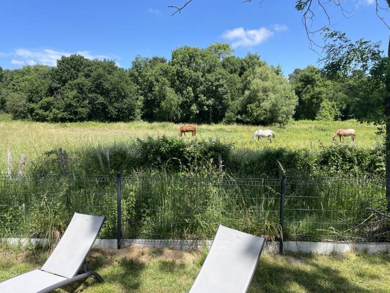 House with pool, yard & barbecue | Garden view — photo 3