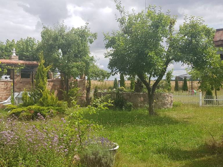 foto11