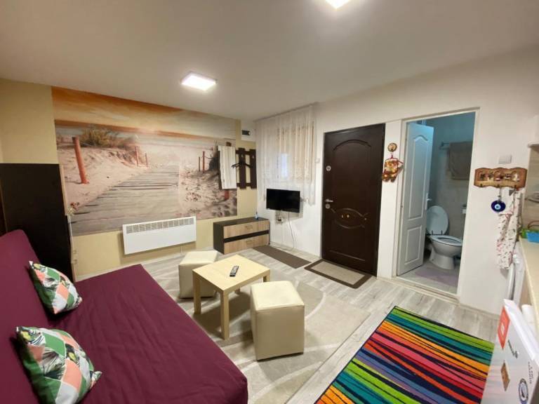 Holiday apartment with garden in Brasov