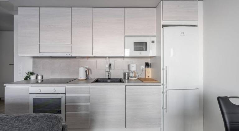 Modern 1BR Next to Lake Nasijarvi - Sauna & Free Parking — photo 4