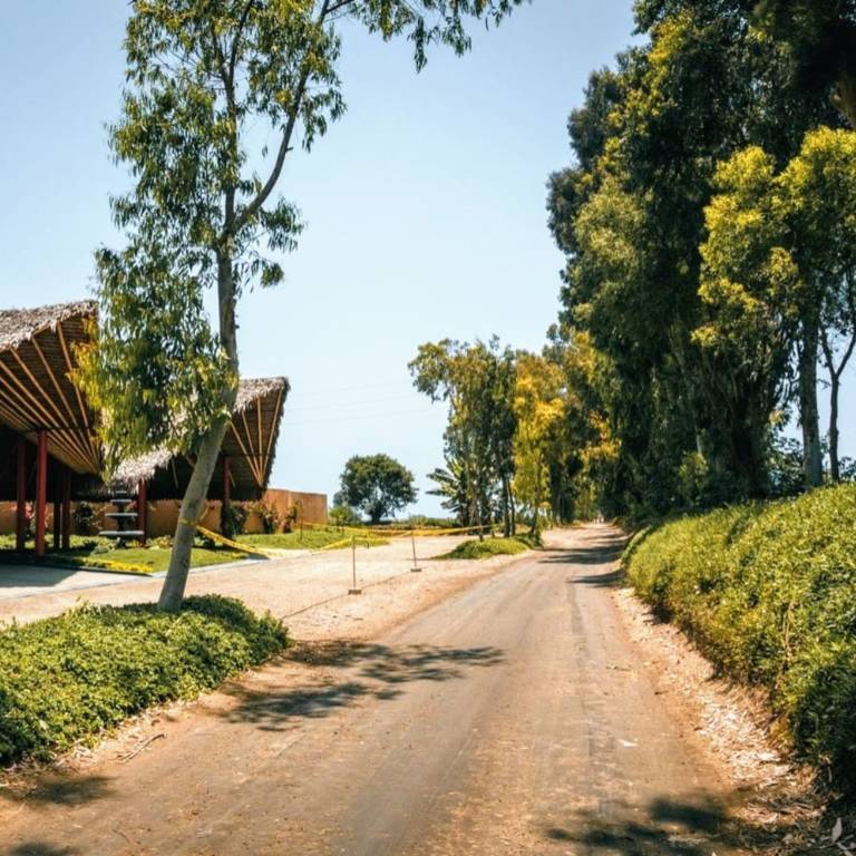 foto23