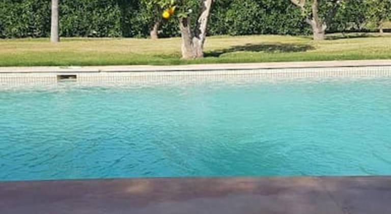 foto8