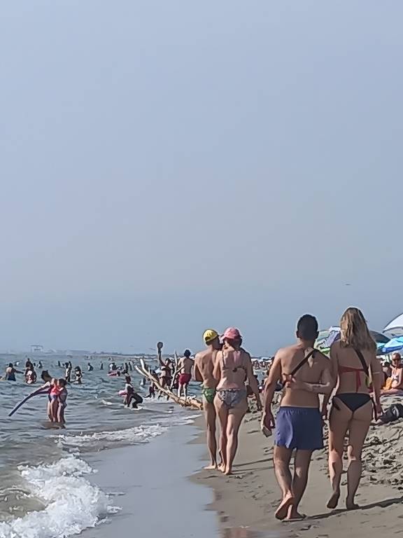foto8