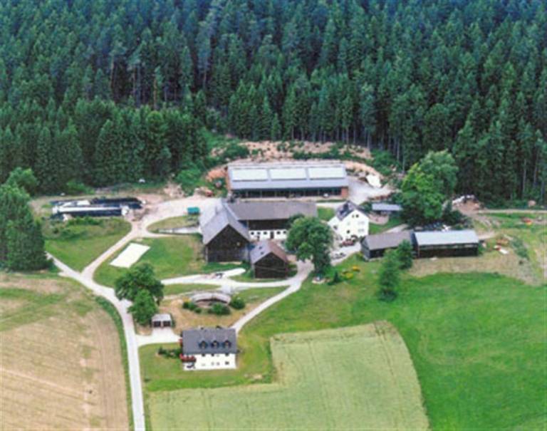 foto11