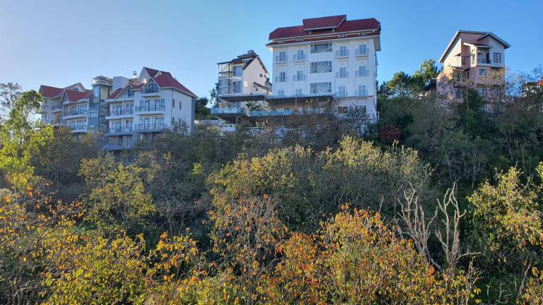 foto40