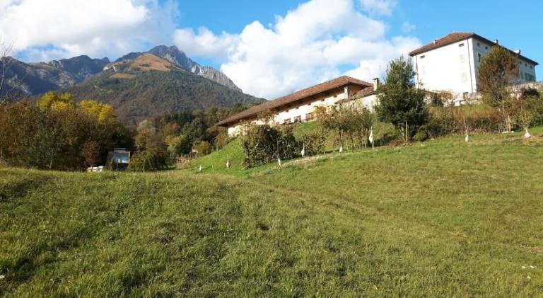 foto12