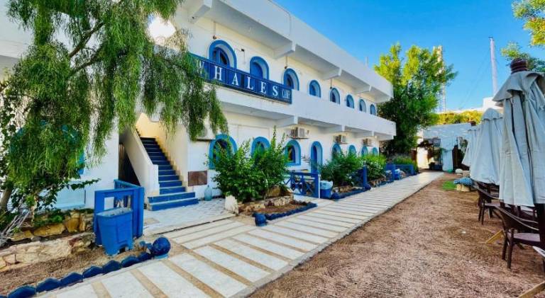 Whales camp dahab in Dahab