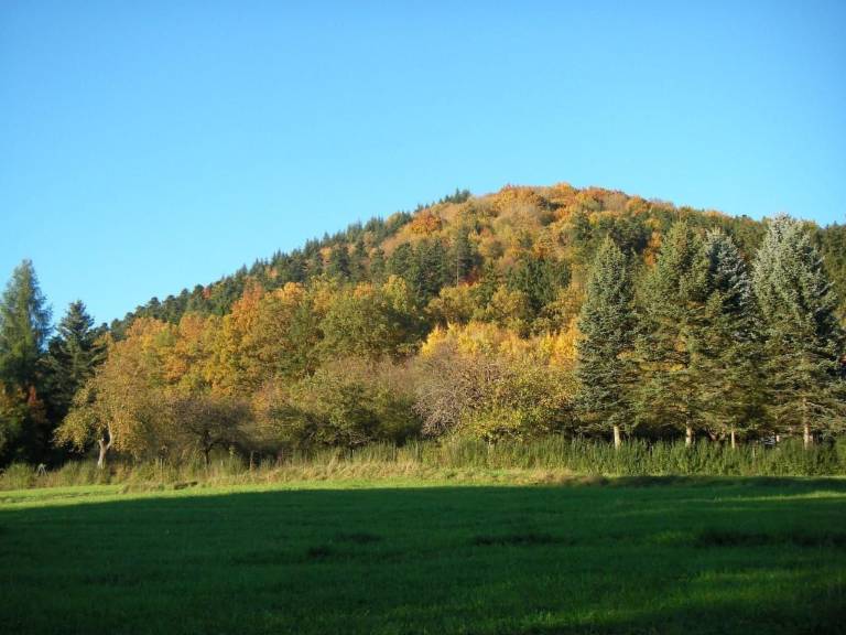 foto38