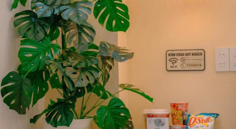 Tom's Homestay Huế — photo 5