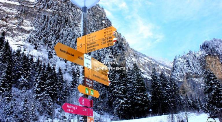 Apartment with 2 rooms for 3 persons in Kandersteg