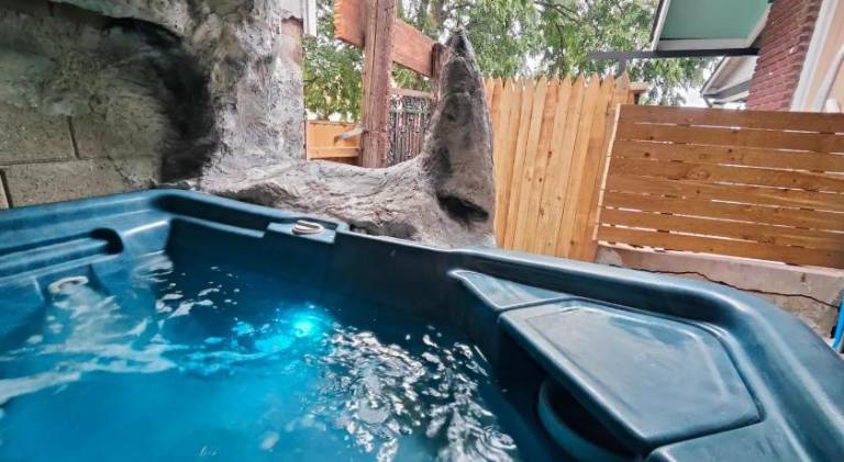 Beautiful vacation home with hot tub | Pets are welcome — photo 3