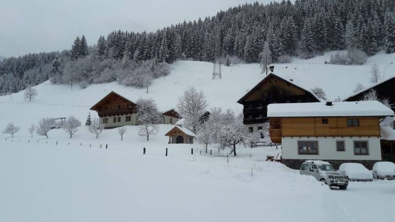 foto3