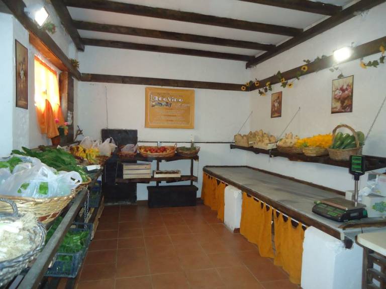 foto16
