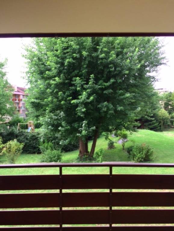 foto6
