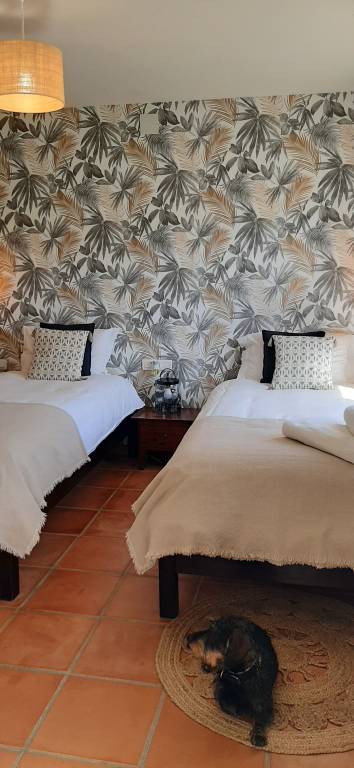 Pet-Friendly 'Finca La Casa 1950' with Mountain View, Pool & Wi-Fi — photo 5