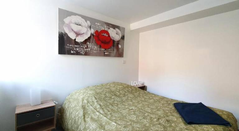 Appartement Saint-Galmier